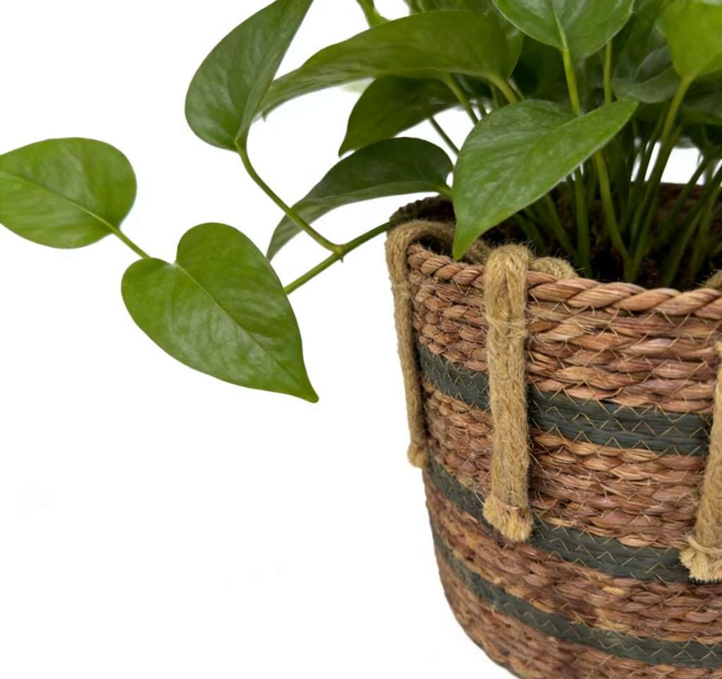 收纳篮、置物篮、收纳筐实物图