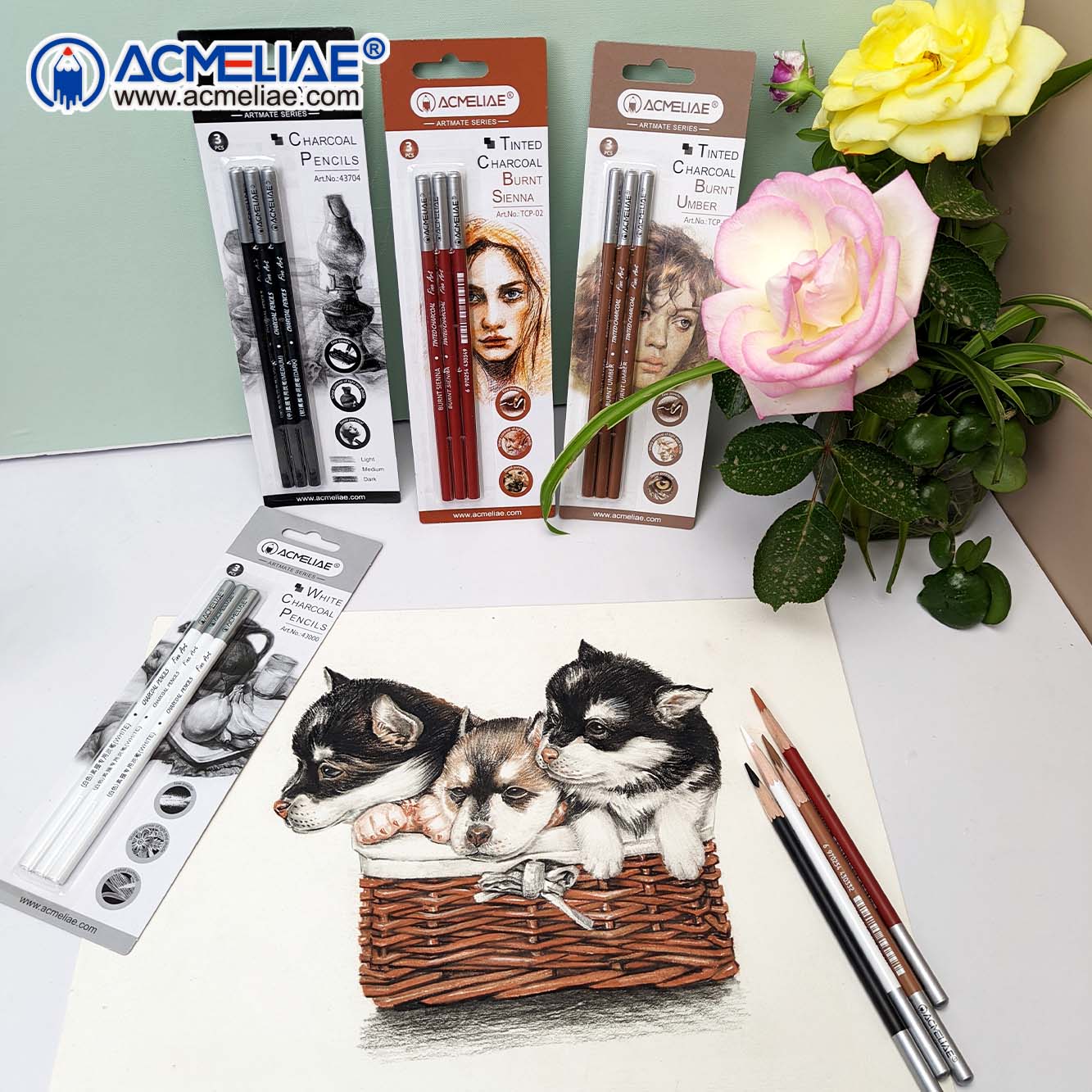 ACMLELIAE brand colored charcoal pencils - reddish-brown - 3-cartridge cartridge Application Scenario