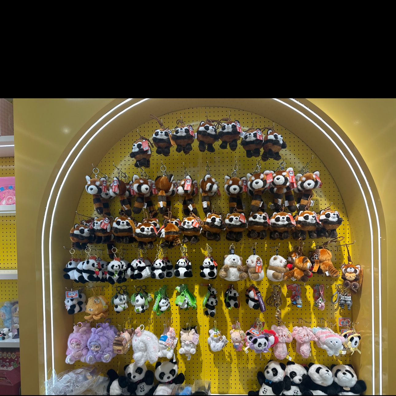 Mengwan Hui DoDoLoCo describe pic - 2