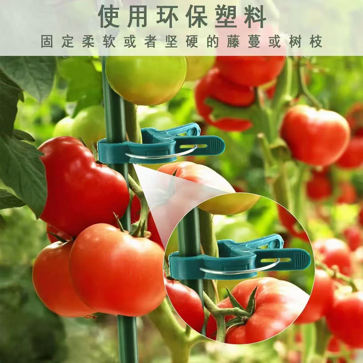 其他林业副产品实物图
