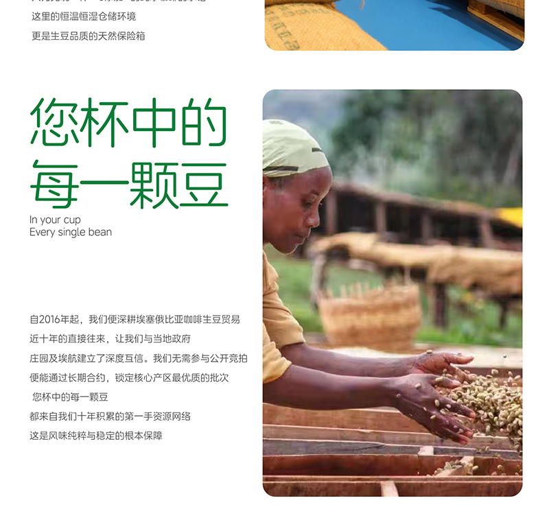 埃塞俄比亚冠军手冲精品咖啡豆日晒浅烘美式新鲜烘焙250G详情13