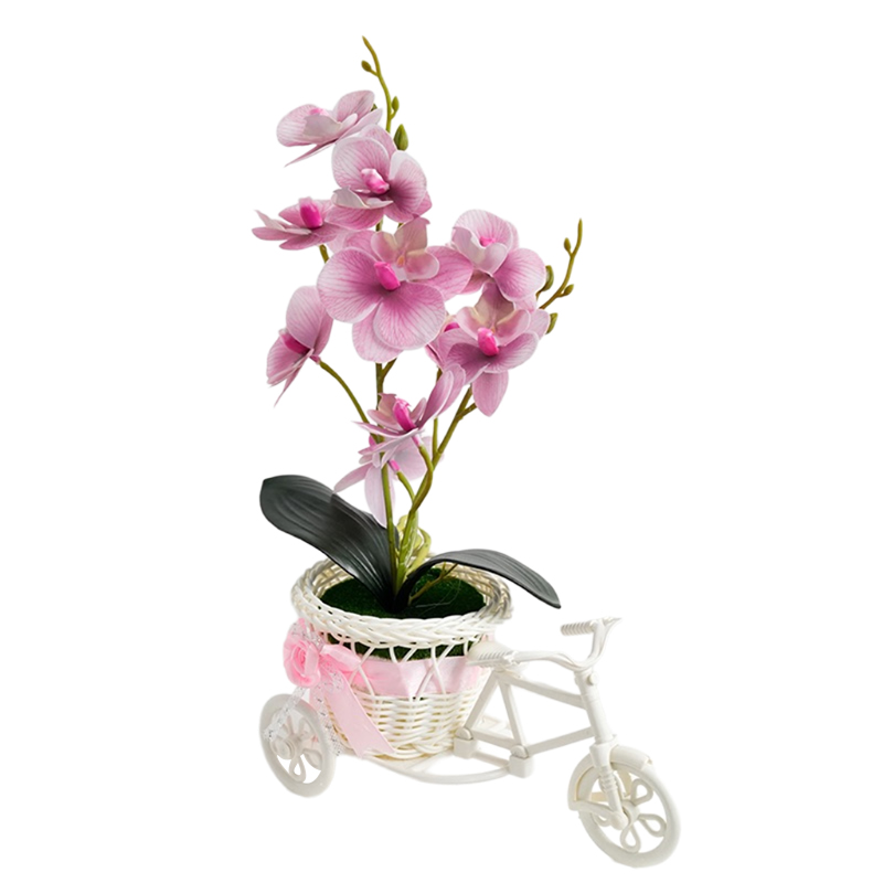 Triciclo phalaenops 🦋 falsa simulación de flores flor flor flor flor planta en maceta dormitorio sala de estar planta en maceta gabinete de vino mesa de sobremesa mesa de café arte floral decoración pendulo flores detail image 4