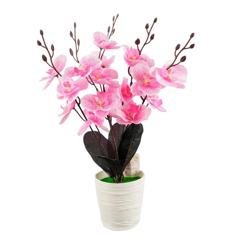 🦋 orquídeas phalaenopsis maceta 🦋 simulación de flores flores maceta dormitorio sala de estar maceta gabinete de vino mesa de sobremesa mesa de café arte floral decoración pendulo flores detail image 6