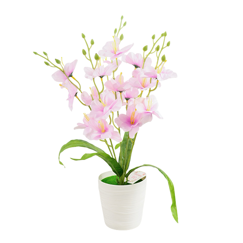 Home decoration, orchid potted plants, balcony, desk, office, hotel, Nordic plastic flowerpots detail image 2