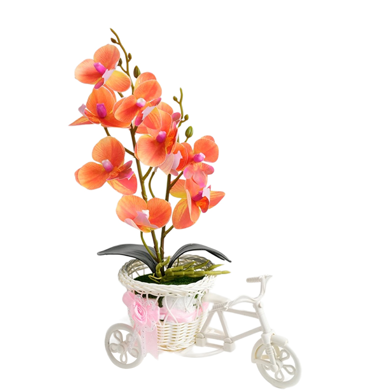 Triciclo phalaenops 🦋 falsa simulación de flores flor flor flor flor planta en maceta dormitorio sala de estar planta en maceta gabinete de vino mesa de sobremesa mesa de café arte floral decoración pendulo flores Item Picture