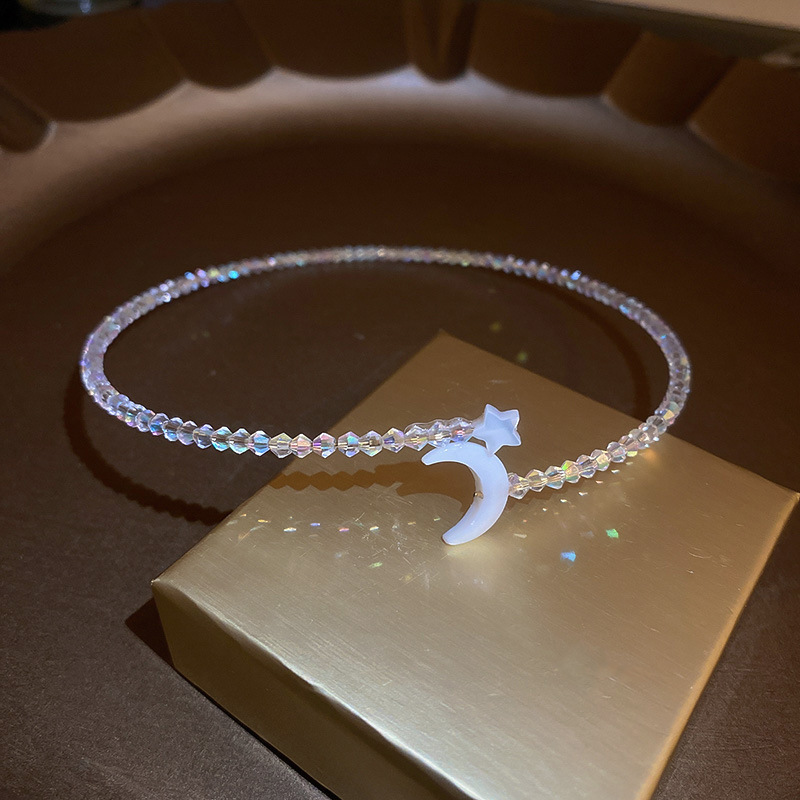 宠物项圈实物图