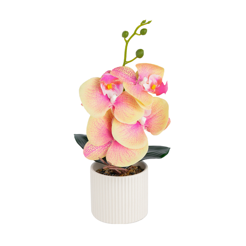 New ceramic Phalaenopsis, artificial Phalaenopsis potted plants, home living room, office decoration potted plants, photography artificial bonsai, green plant bonsai detail image 2