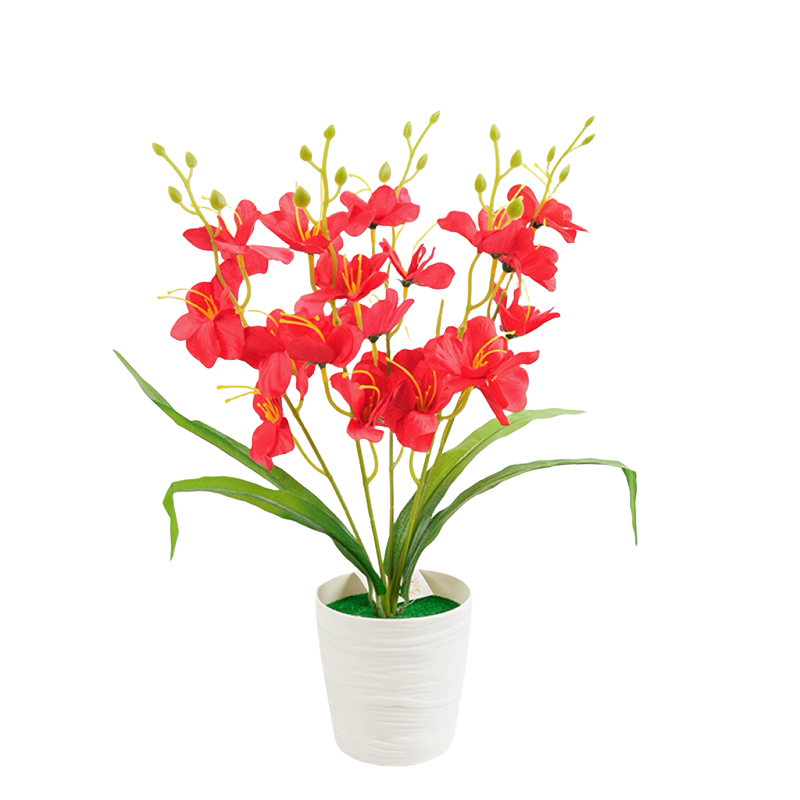 Home decoration, orchid potted plants, balcony, desk, office, hotel, Nordic plastic flowerpots Item Picture