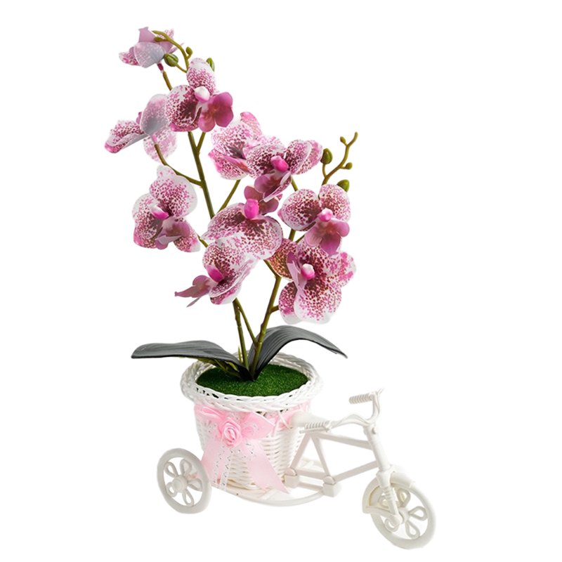 Triciclo phalaenops 🦋 falsa simulación de flores flor flor flor flor planta en maceta dormitorio sala de estar planta en maceta gabinete de vino mesa de sobremesa mesa de café arte floral decoración pendulo flores detail image 3