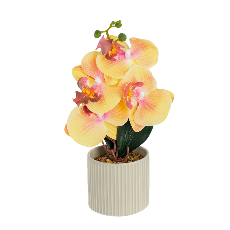 New ceramic Phalaenopsis, artificial Phalaenopsis potted plants, home living room, office decoration potted plants, photography artificial bonsai, green plant bonsai Application Scenario