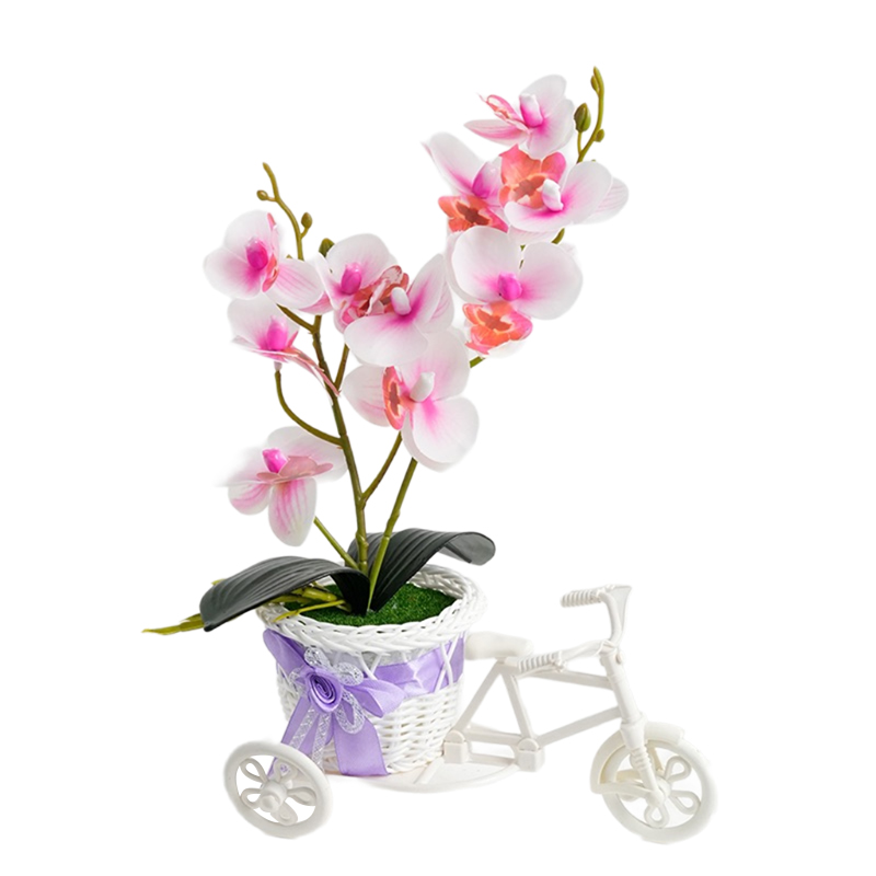 Triciclo phalaenops 🦋 falsa simulación de flores flor flor flor flor planta en maceta dormitorio sala de estar planta en maceta gabinete de vino mesa de sobremesa mesa de café arte floral decoración pendulo flores detail image 6