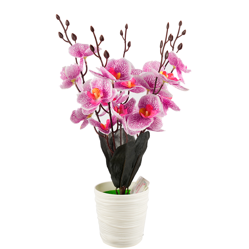 🦋 orquídeas phalaenopsis maceta 🦋 simulación de flores flores maceta dormitorio sala de estar maceta gabinete de vino mesa de sobremesa mesa de café arte floral decoración pendulo flores detail image 2