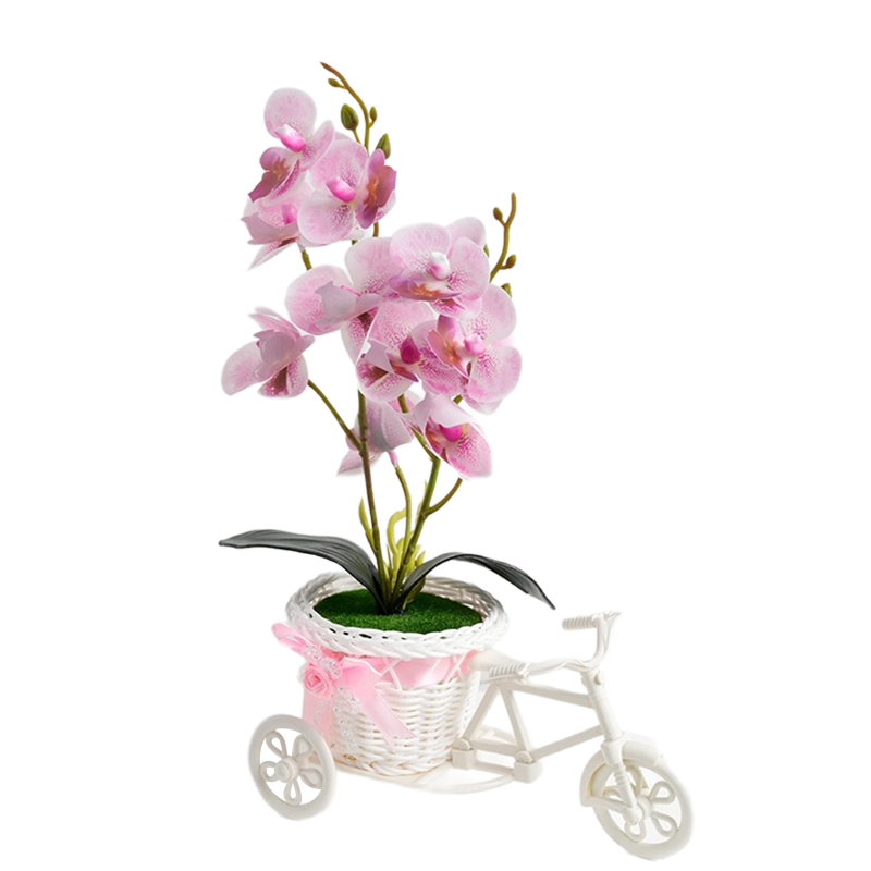 Triciclo phalaenops 🦋 falsa simulación de flores flor flor flor flor planta en maceta dormitorio sala de estar planta en maceta gabinete de vino mesa de sobremesa mesa de café arte floral decoración pendulo flores Specification image