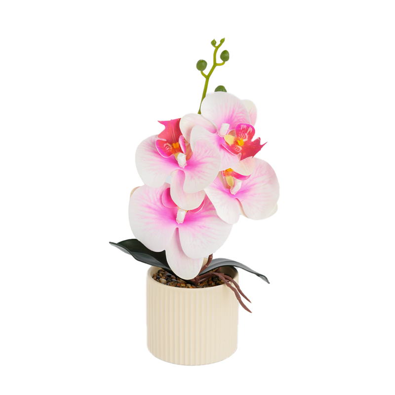 New ceramic Phalaenopsis, artificial Phalaenopsis potted plants, home living room, office decoration potted plants, photography artificial bonsai, green plant bonsai Item Picture