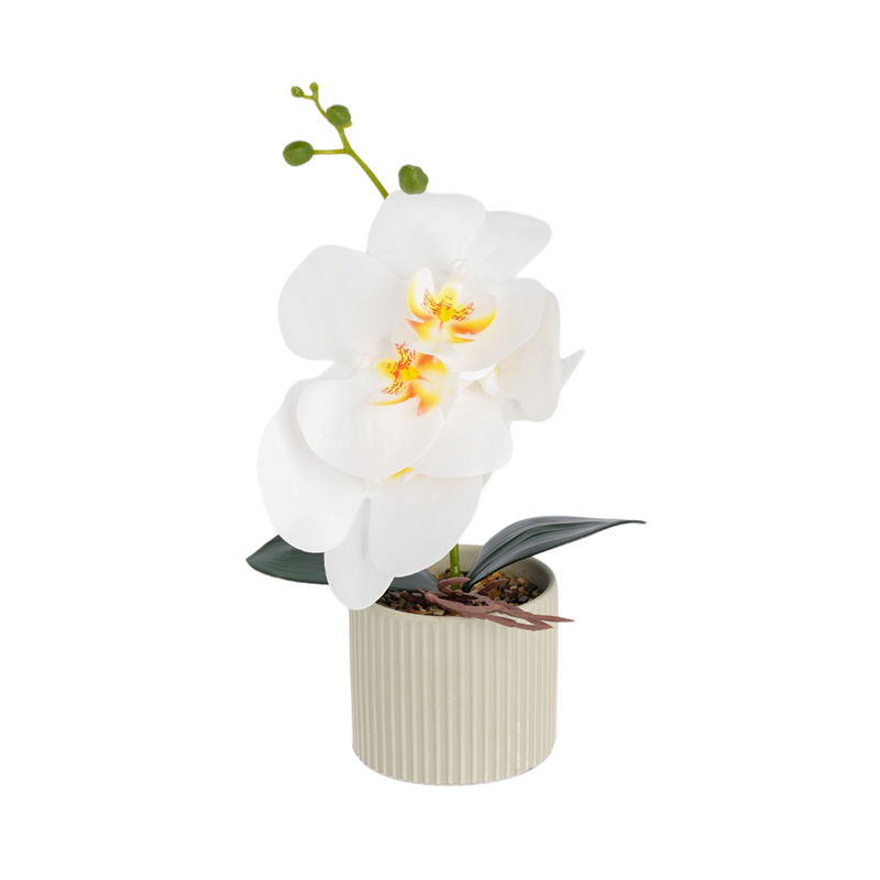New ceramic Phalaenopsis, artificial Phalaenopsis potted plants, home living room, office decoration potted plants, photography artificial bonsai, green plant bonsai detail image 5