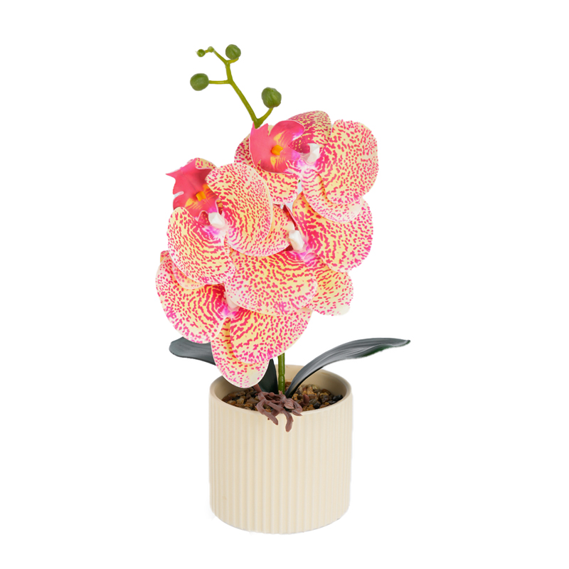 New ceramic Phalaenopsis, artificial Phalaenopsis potted plants, home living room, office decoration potted plants, photography artificial bonsai, green plant bonsai Specification image