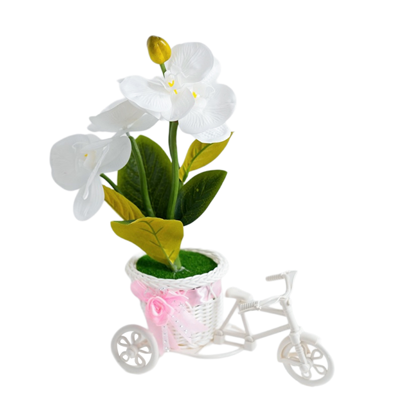 Triciclo orquídeas phalaenopsis simulación de flores falsas carrozas macetas dormitorio sala de estar macetas gabinete de vino mesa mesa de café arte floral decoración pendulo flores Application Scenario