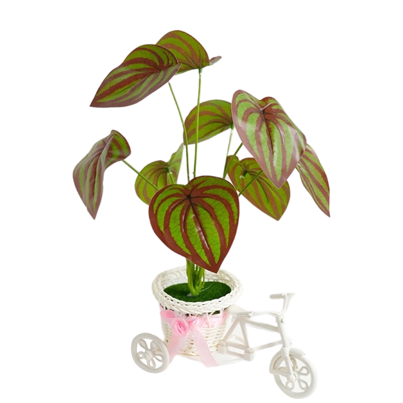 Alto nivel de apariencia triciclo rama verde simulación bonsai punting sala de estar interior mesa plantas decoraciones shooting props punting ins simulación creativa bonsai punting ornamentación verde flor falsa mesa bonsai punting regalo Item Picture