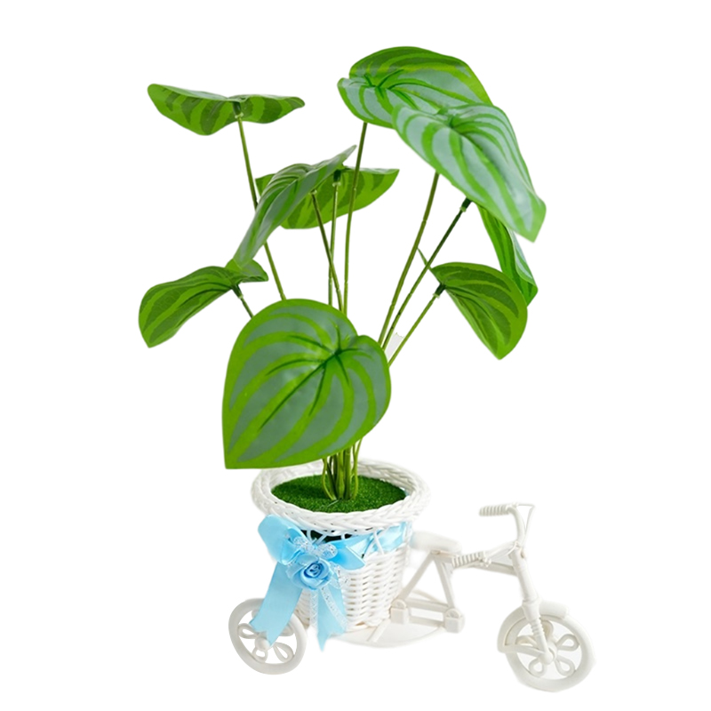 Alto nivel de apariencia triciclo rama verde simulación bonsai punting sala de estar interior mesa plantas decoraciones shooting props punting ins simulación creativa bonsai punting ornamentación verde flor falsa mesa bonsai punting regalo Specification image