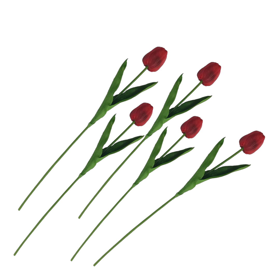 鲜切花实物图