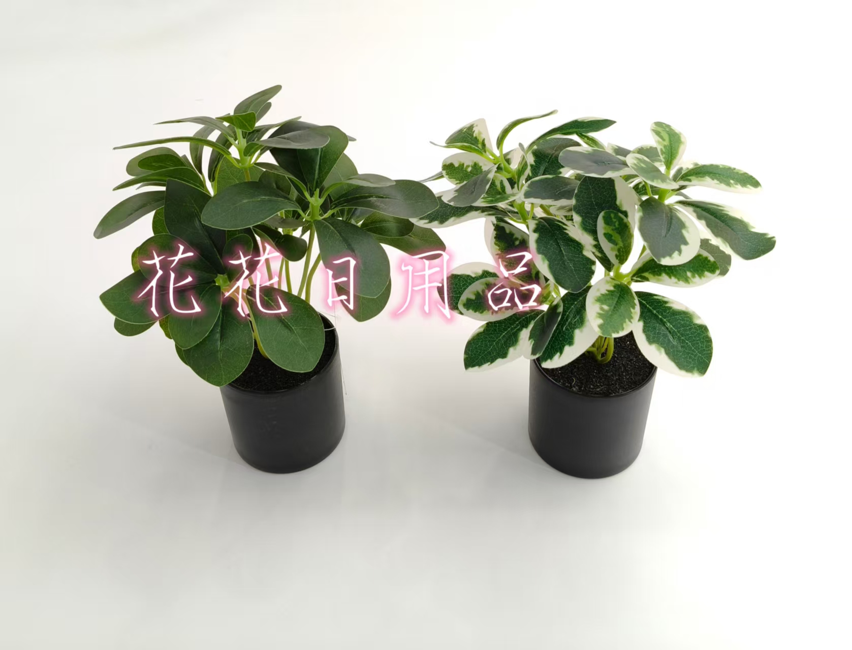 仿真花假花盆景塑料盆椭圆形绿叶装饰品