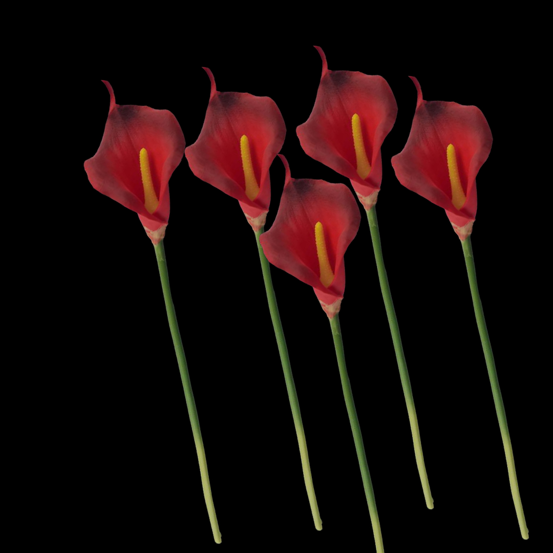 Artificial flowers, single red calla lilies, artificial flowers, Valentine's Day phalaenopsis and sunflower flower decorations Application Scenario