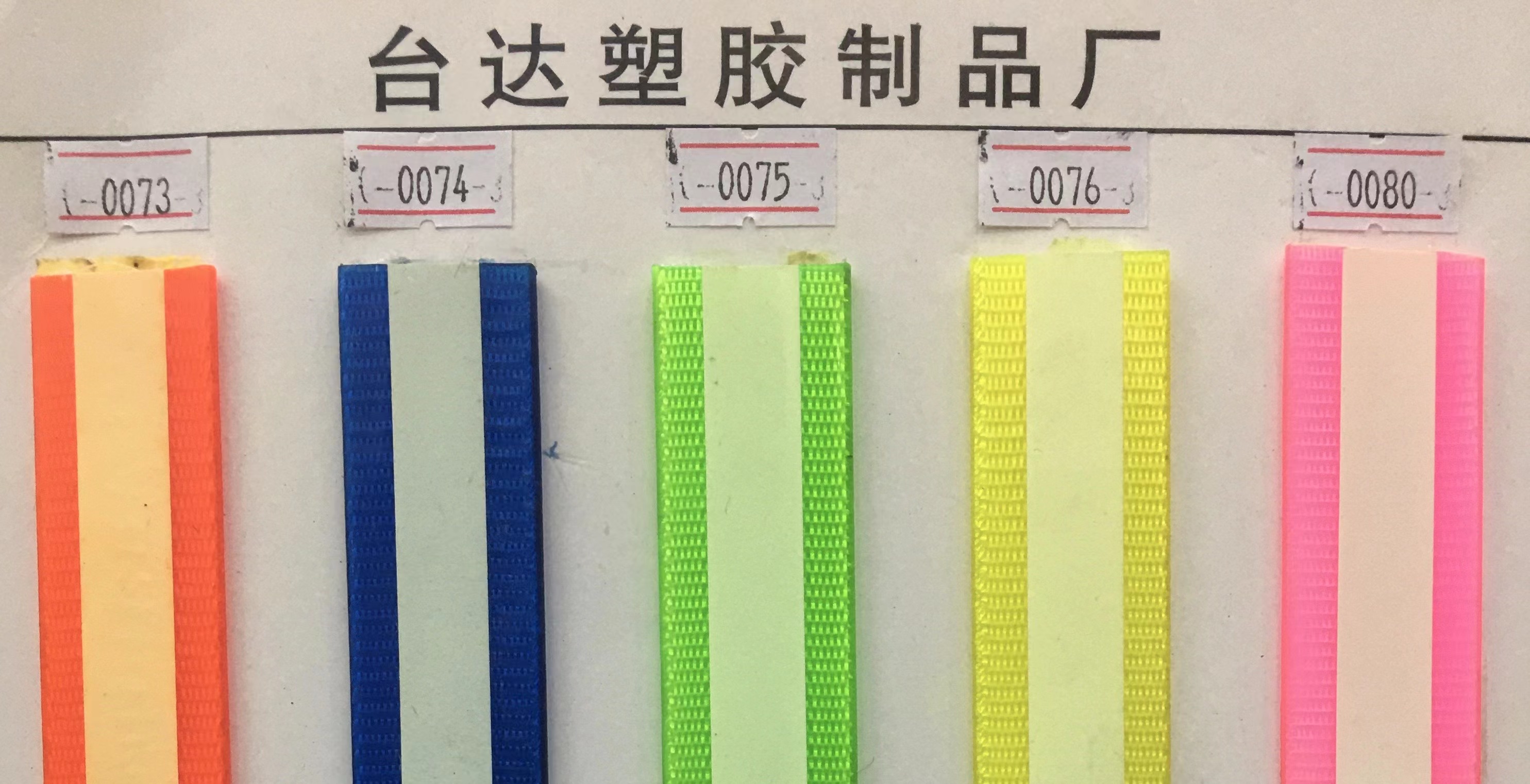 宠物项圈实物图