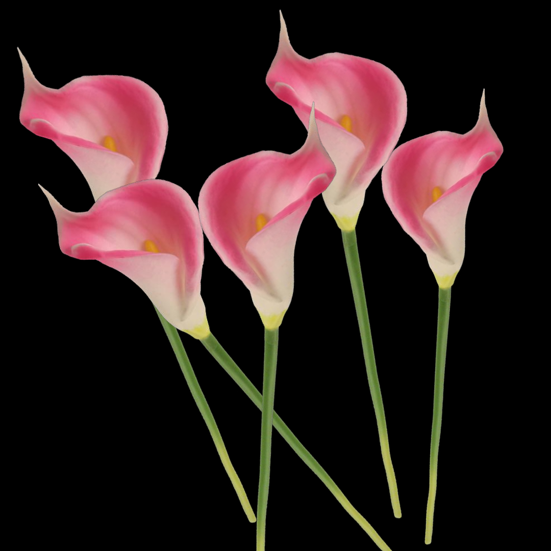 Wholesale of pink single artificial flower branches, rolled calla lily flowers, artificial flowers for sacrificial purposes Application Scenario