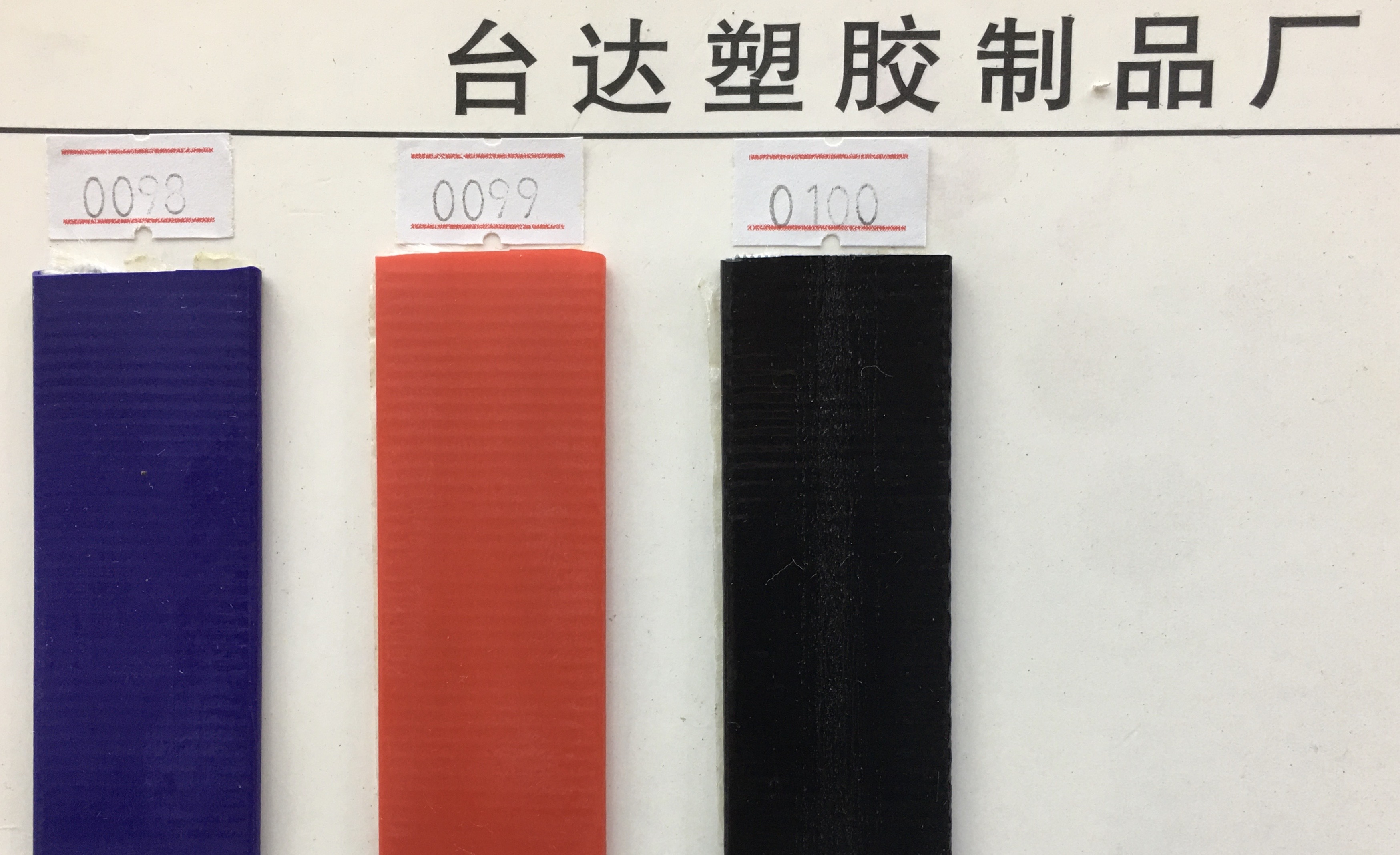 宠物项圈实物图