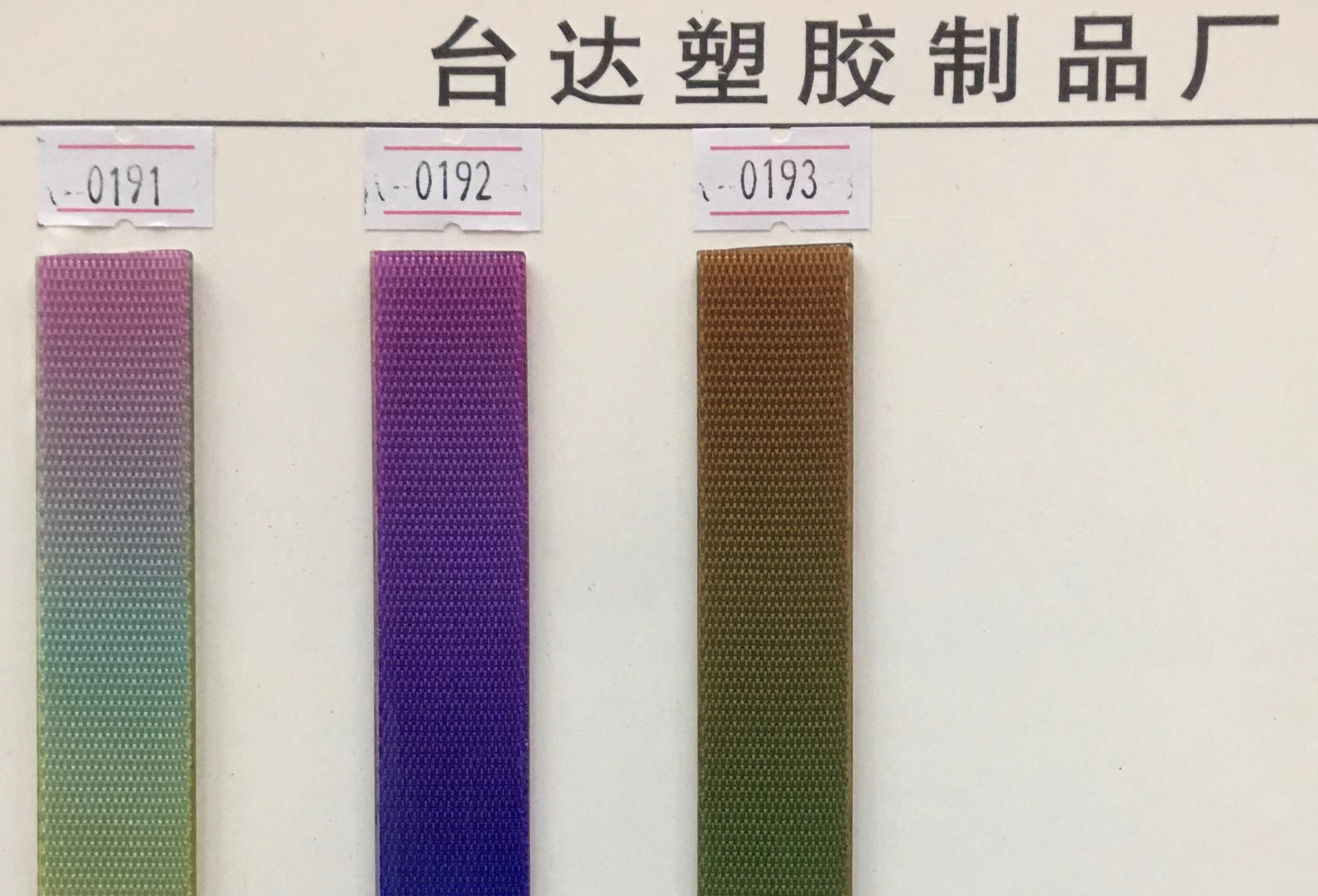 宠物项圈实物图