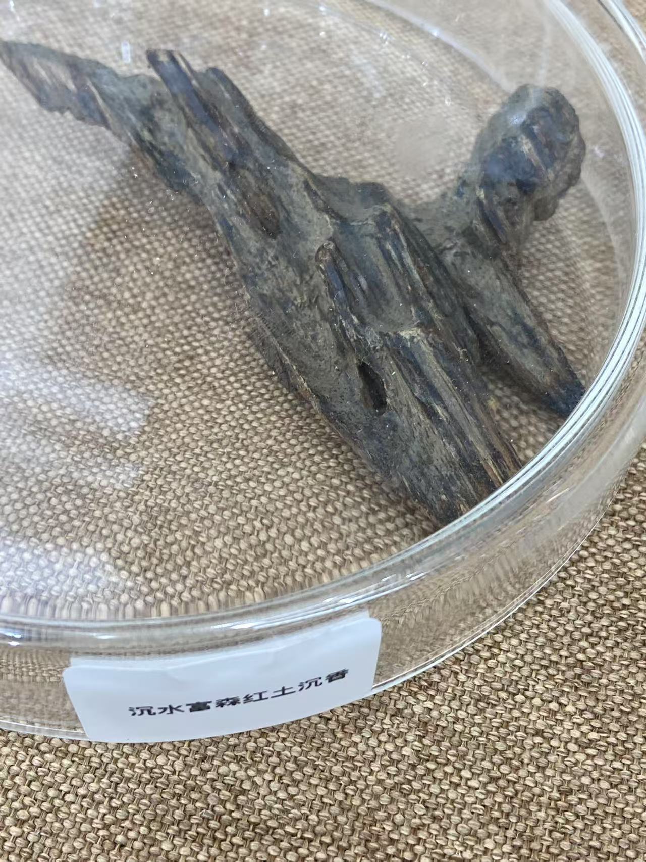 沉水级富森红土沉香原料