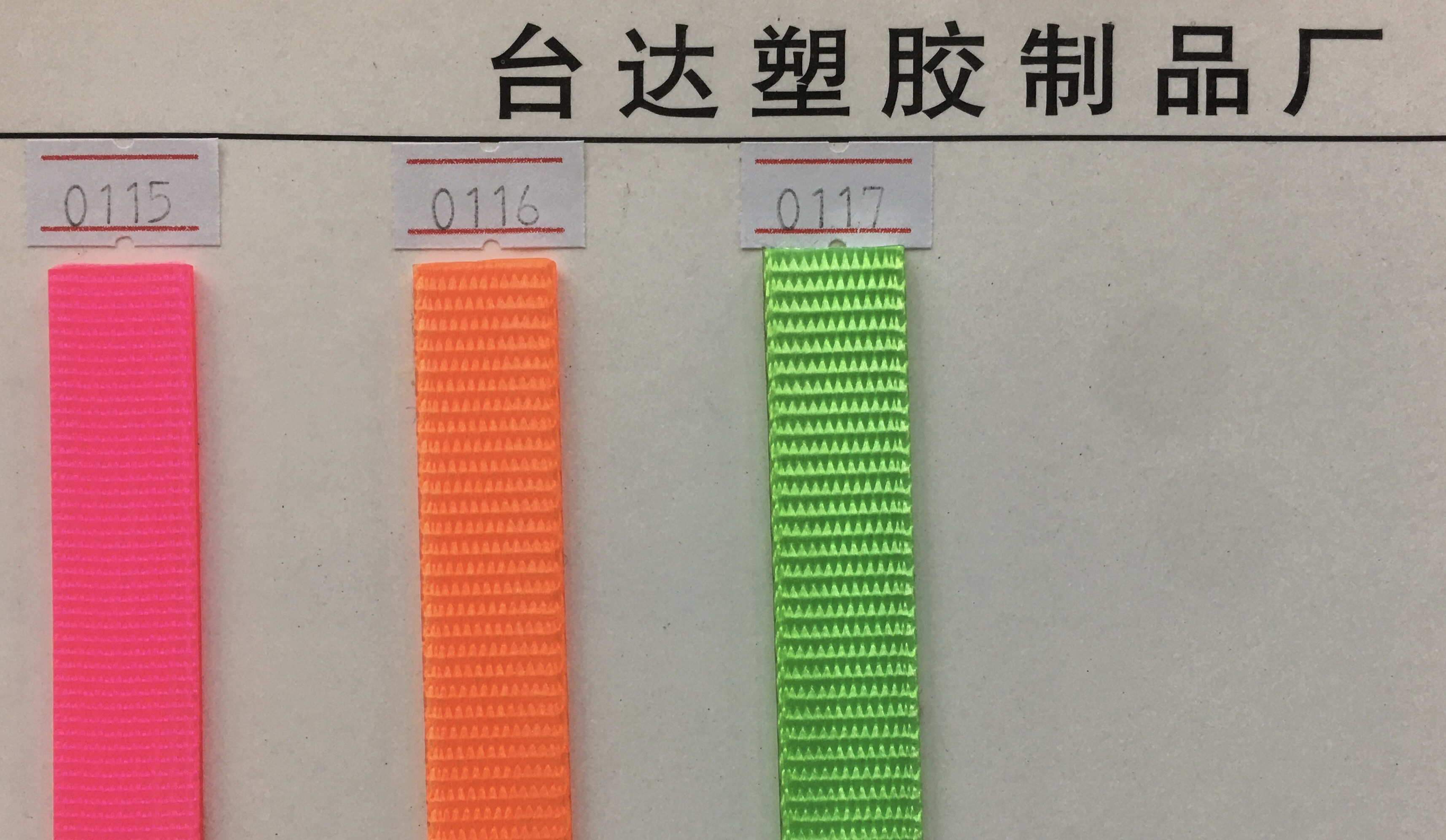 宠物项圈实物图