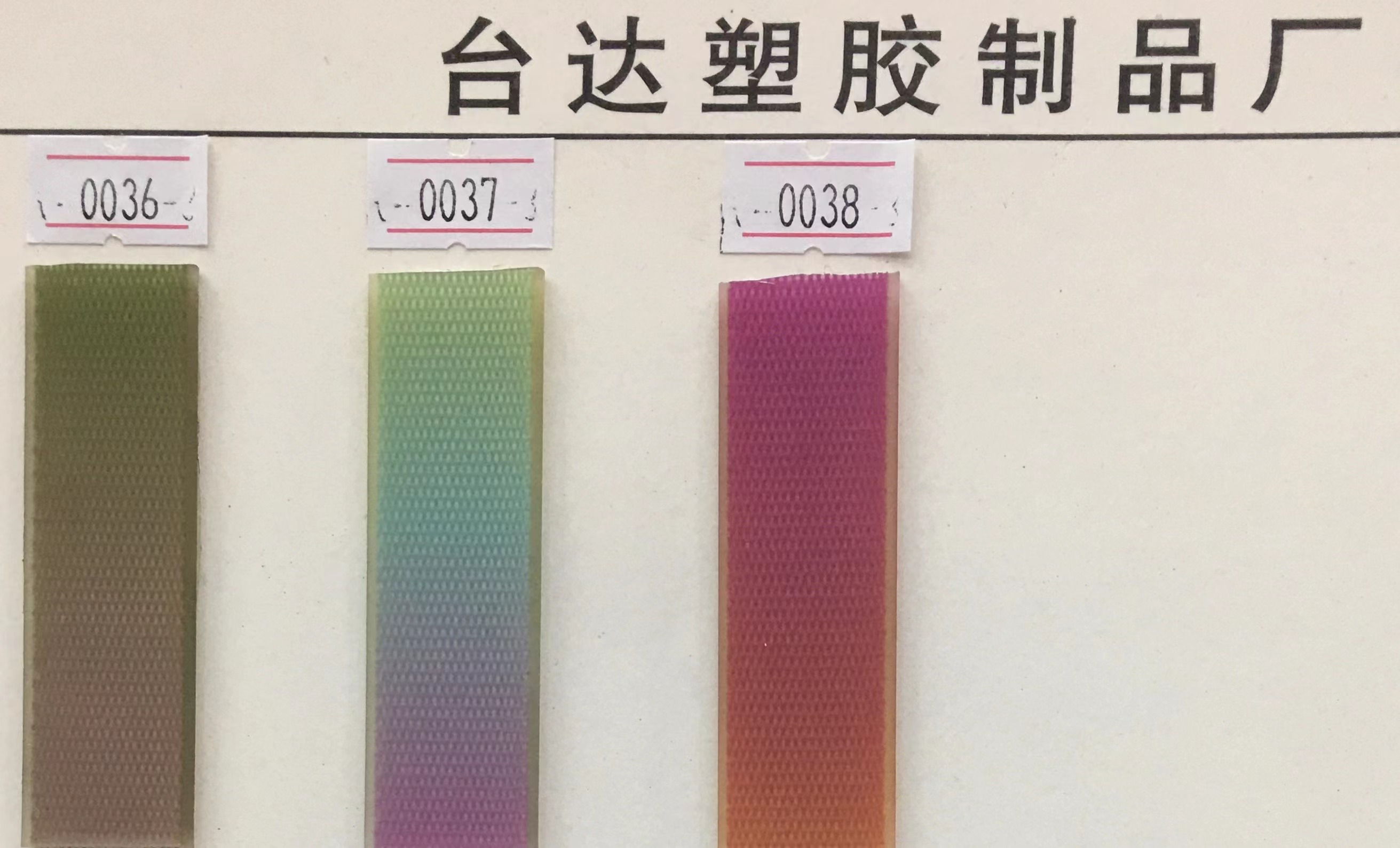 宠物项圈实物图