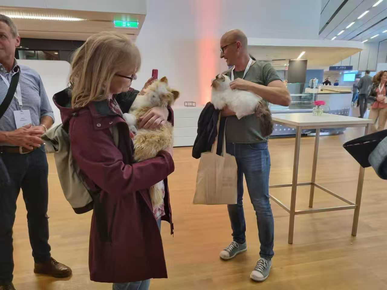 2026年AI 宠物陪伴机器人 远程监控双向语音跨境电商上班族出差猫狗解闷详情2