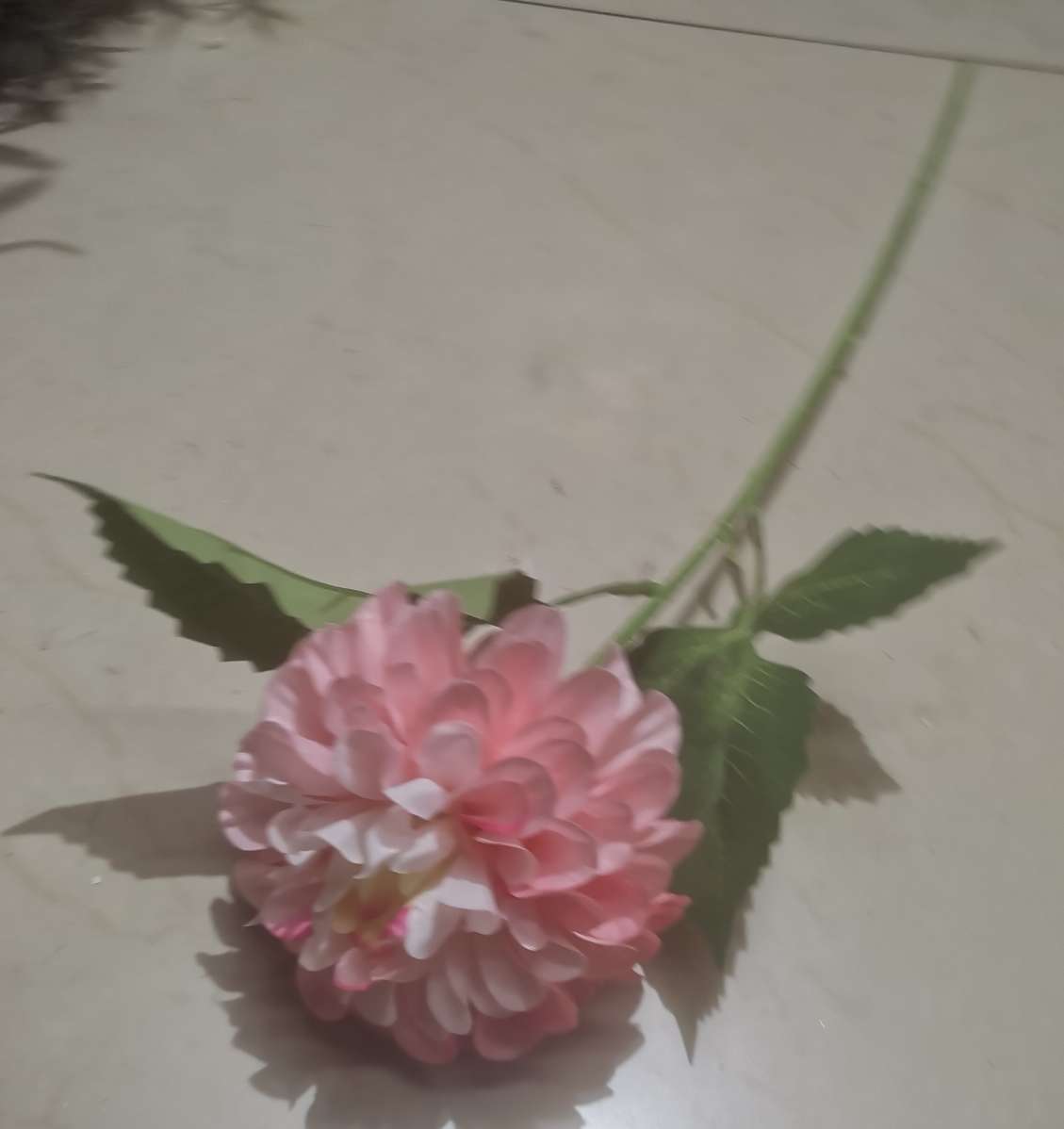 新款仿真单支卷筒菊  高支仿真花 装饰工程花 菊花类 详情图9