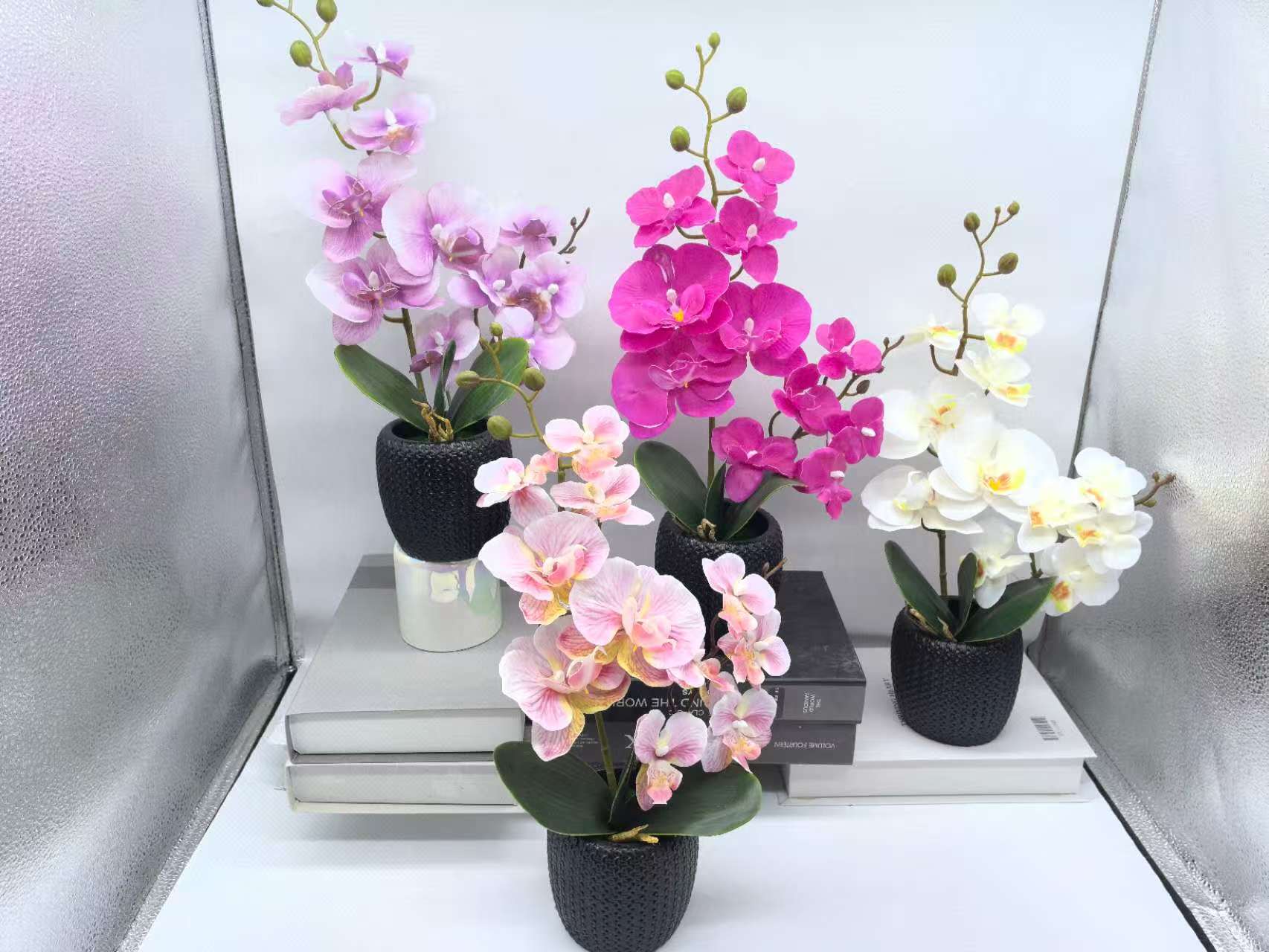 竹子盆景/竹子/高仿真绿植产品图