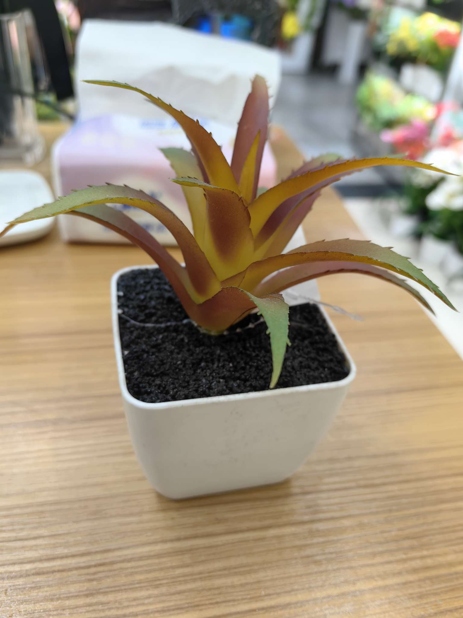 儿童种植盆栽磁悬浮摆件陶瓷盆栽盆花卉绿植种植罐头盆景盆栽