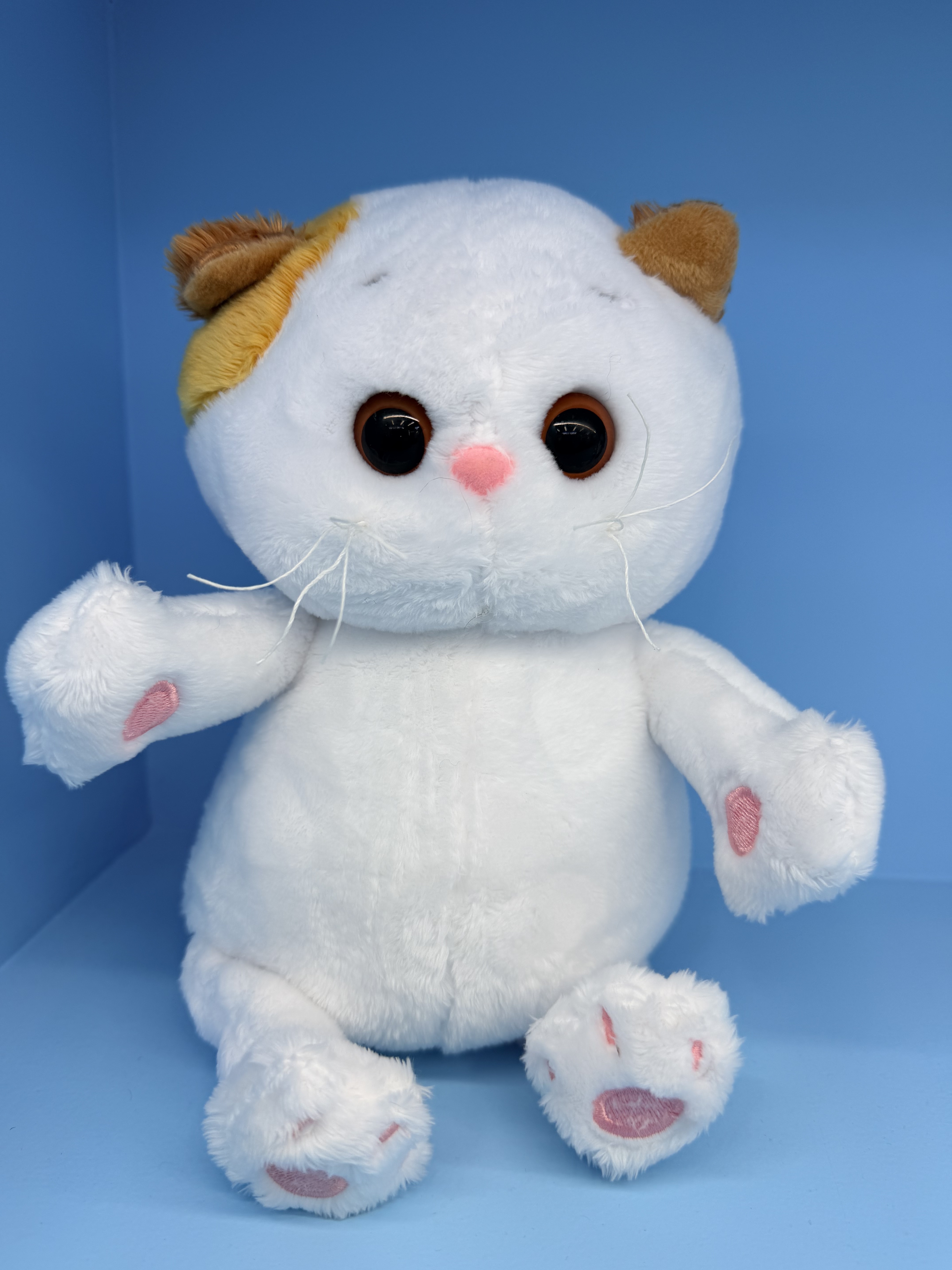 猫猫毛绒玩具可爱毛绒玩具