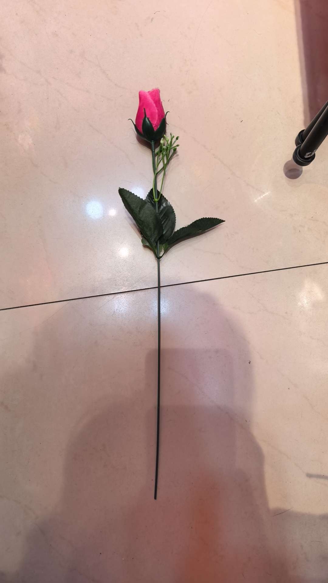 单支蕾