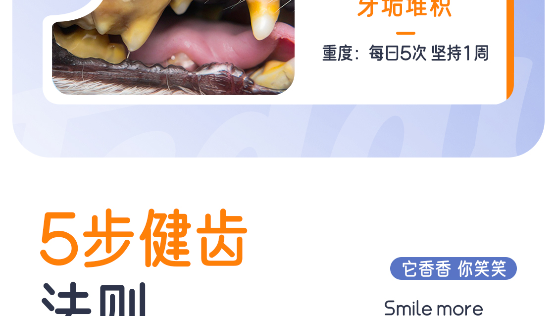 【开颜】宠物益生菌洁牙笔清洁牙垢牙刷牙膏一体式可食用免漱口去除异味详情3
