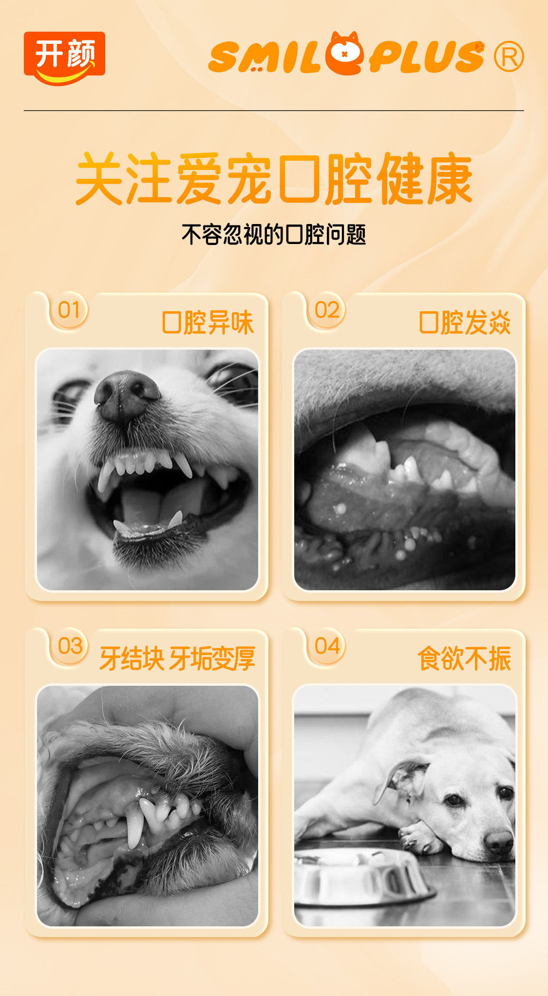 【开颜】宠物益生菌洁齿水猫狗通用漱口水清洁牙齿清新口气详情2