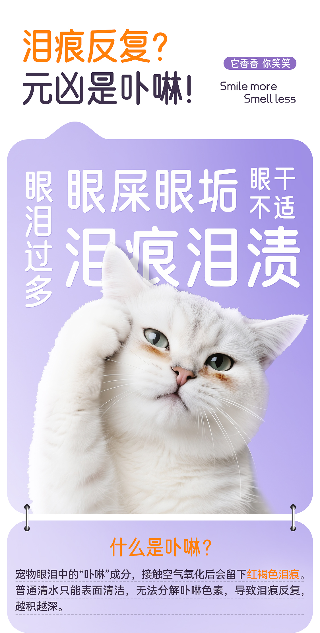 【开颜】宠物净润泪痕湿巾擦泪痕去眼屎猫狗通用清洁方便棉片详情2