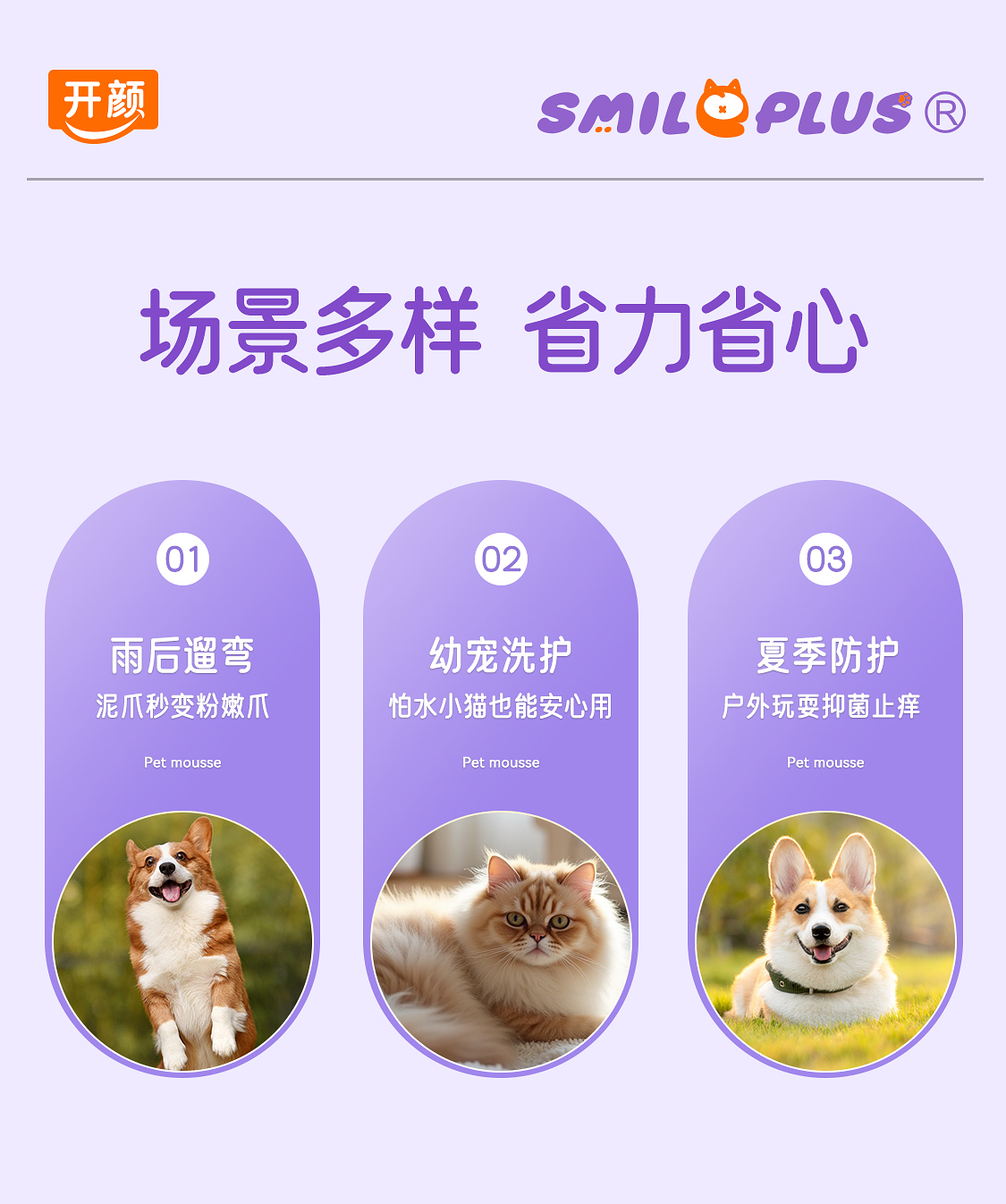 【开颜】宠物氨基酸免洗慕斯猫狗通用洁足去黑下巴尾巴清洁抑菌去油详情12