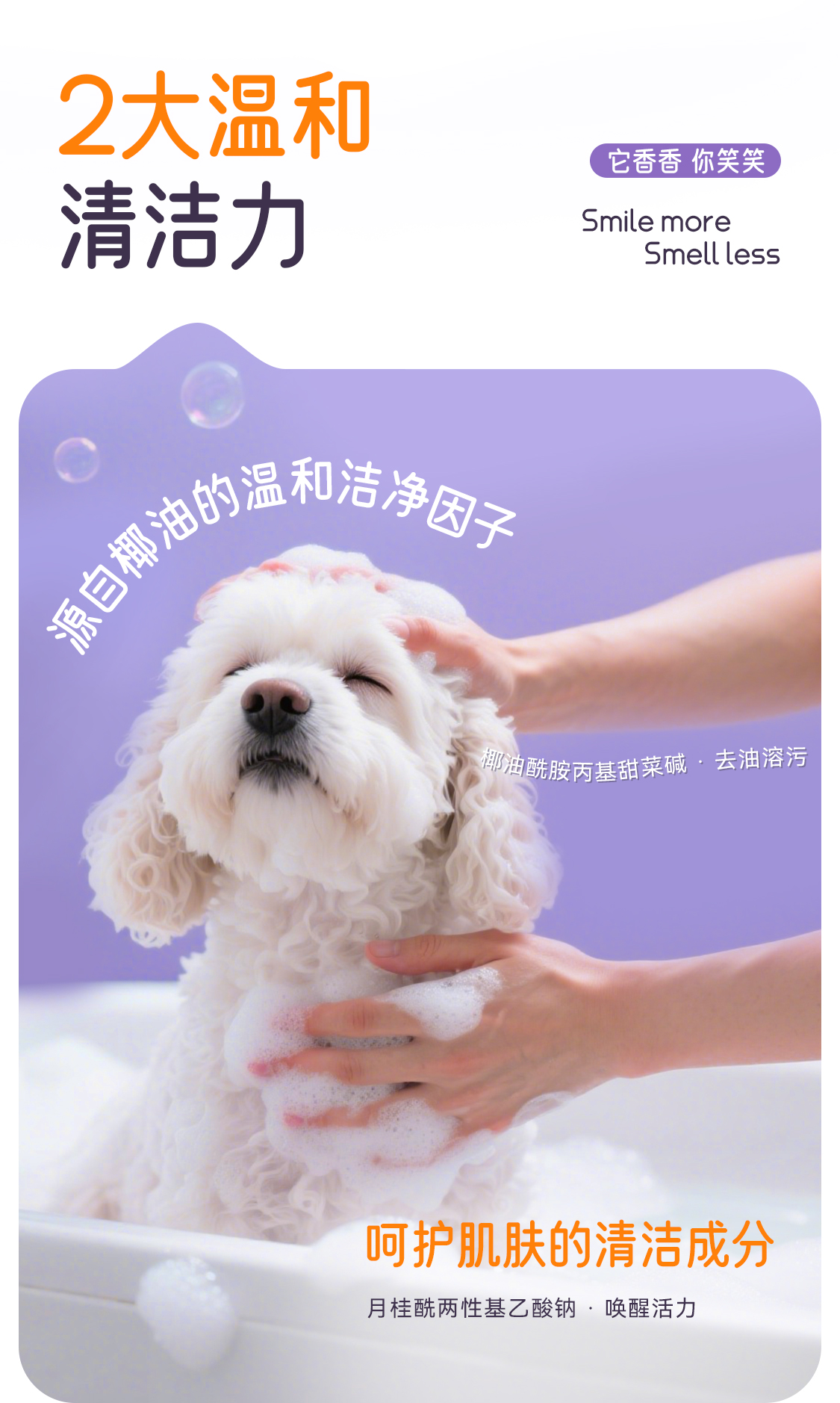 【开颜】宠物牛油果沐浴慕斯蓬松奶泡持久留香猫狗清洁香波除臭抑菌详情4
