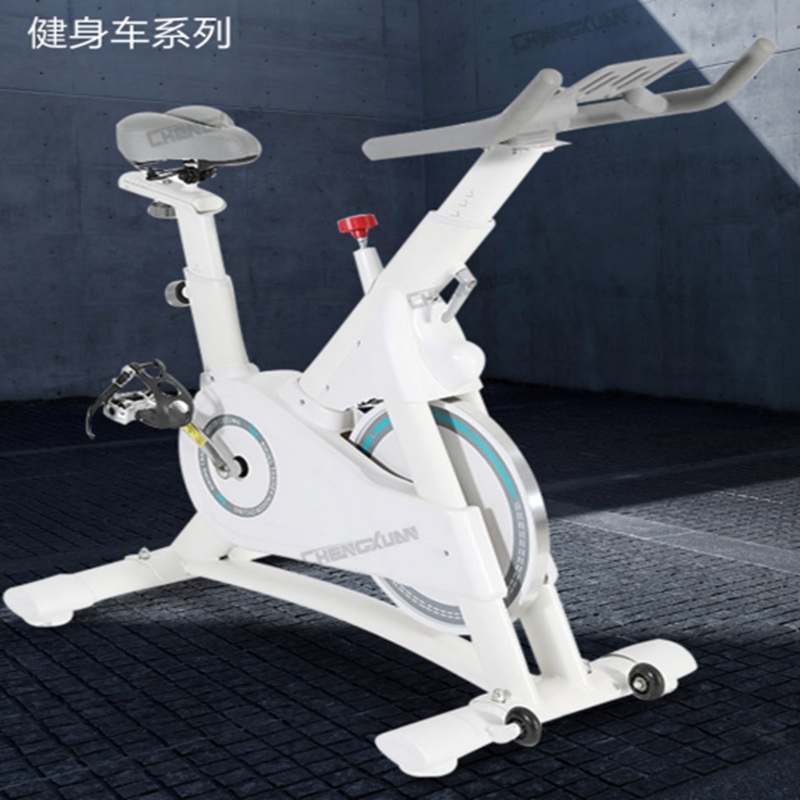 家用运动健身车减肥瘦身车健身器材轻商用动感单车有氧骑行减脂