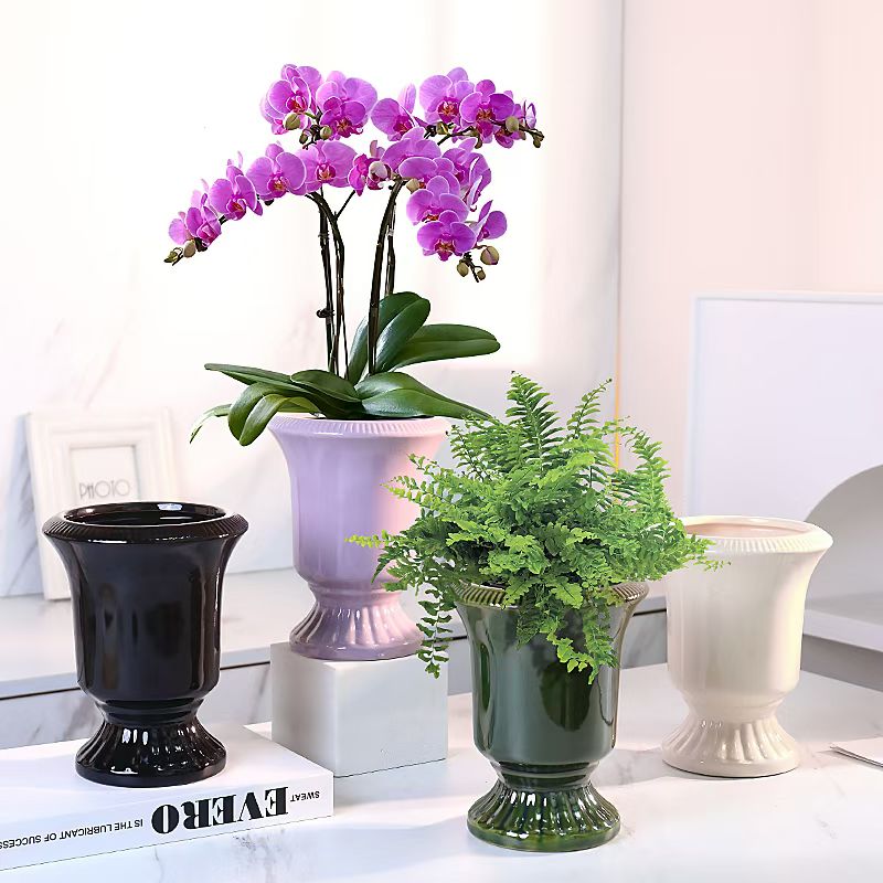 Phalaenopsis ceramic flower pot handicrafts, base vases, decorative flower POTS, creative home decorations detail image 3