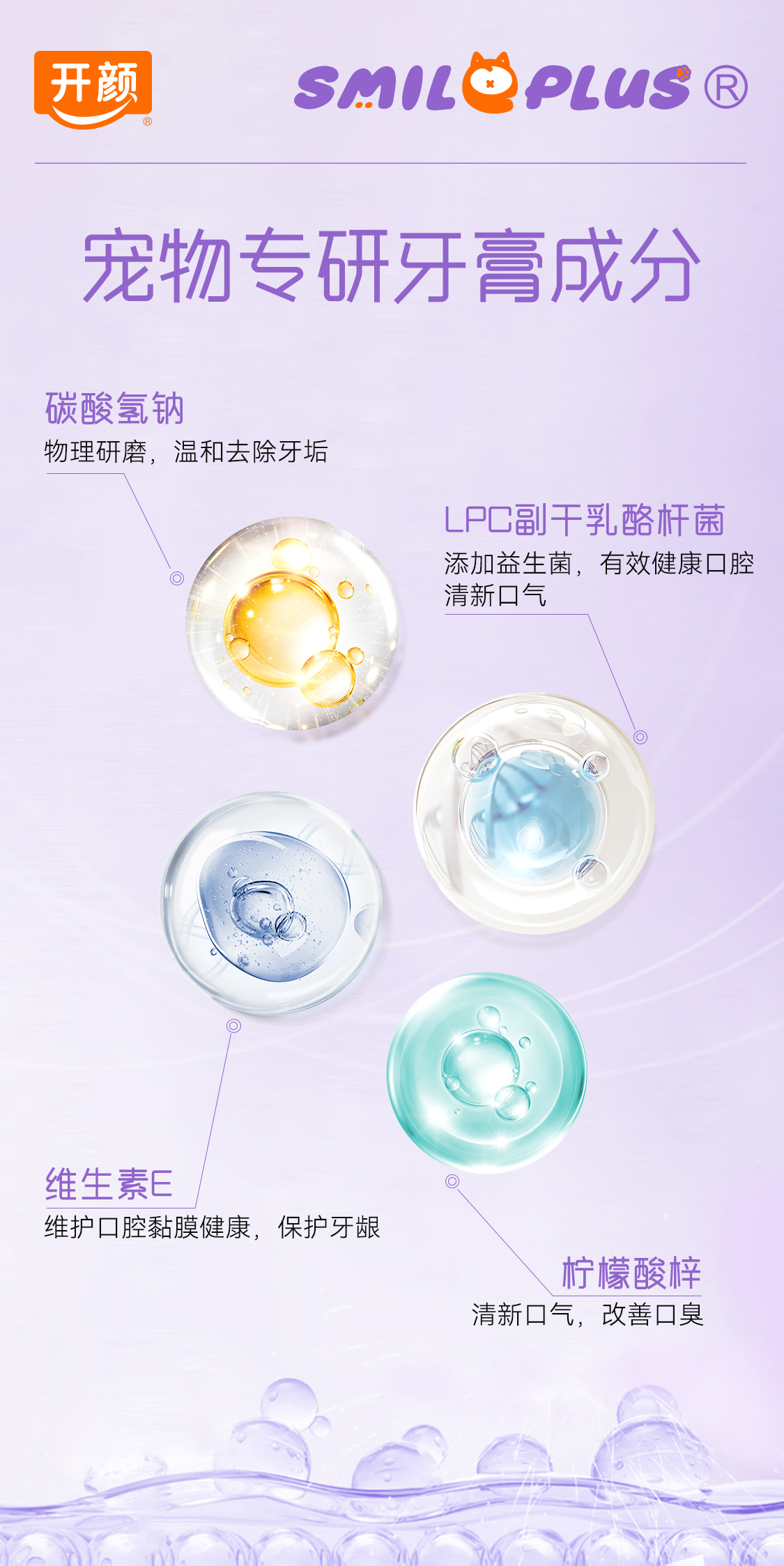 【开颜】宠物洁牙笔口腔清洁牙齿清洁清新口气牙膏牙刷一体式好用猫狗通用详情3