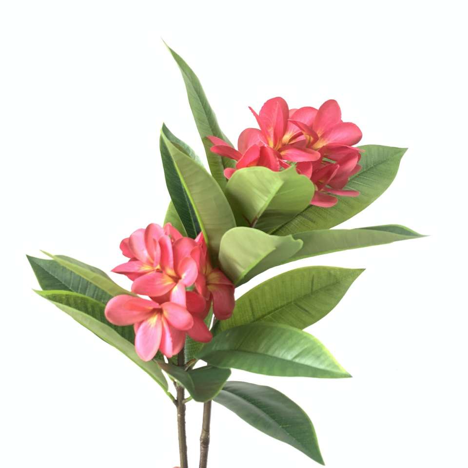 仿真植物，仿真花，鸡蛋花，单支3D打印手感仿真花，植物园艺造景详情图3