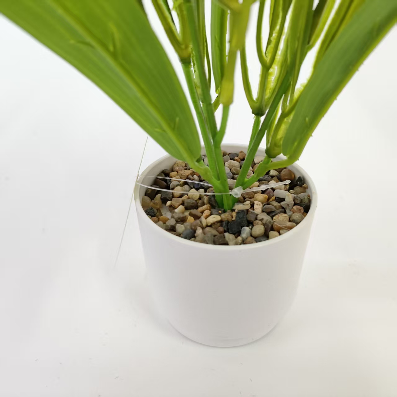 仿真水生植物实物图