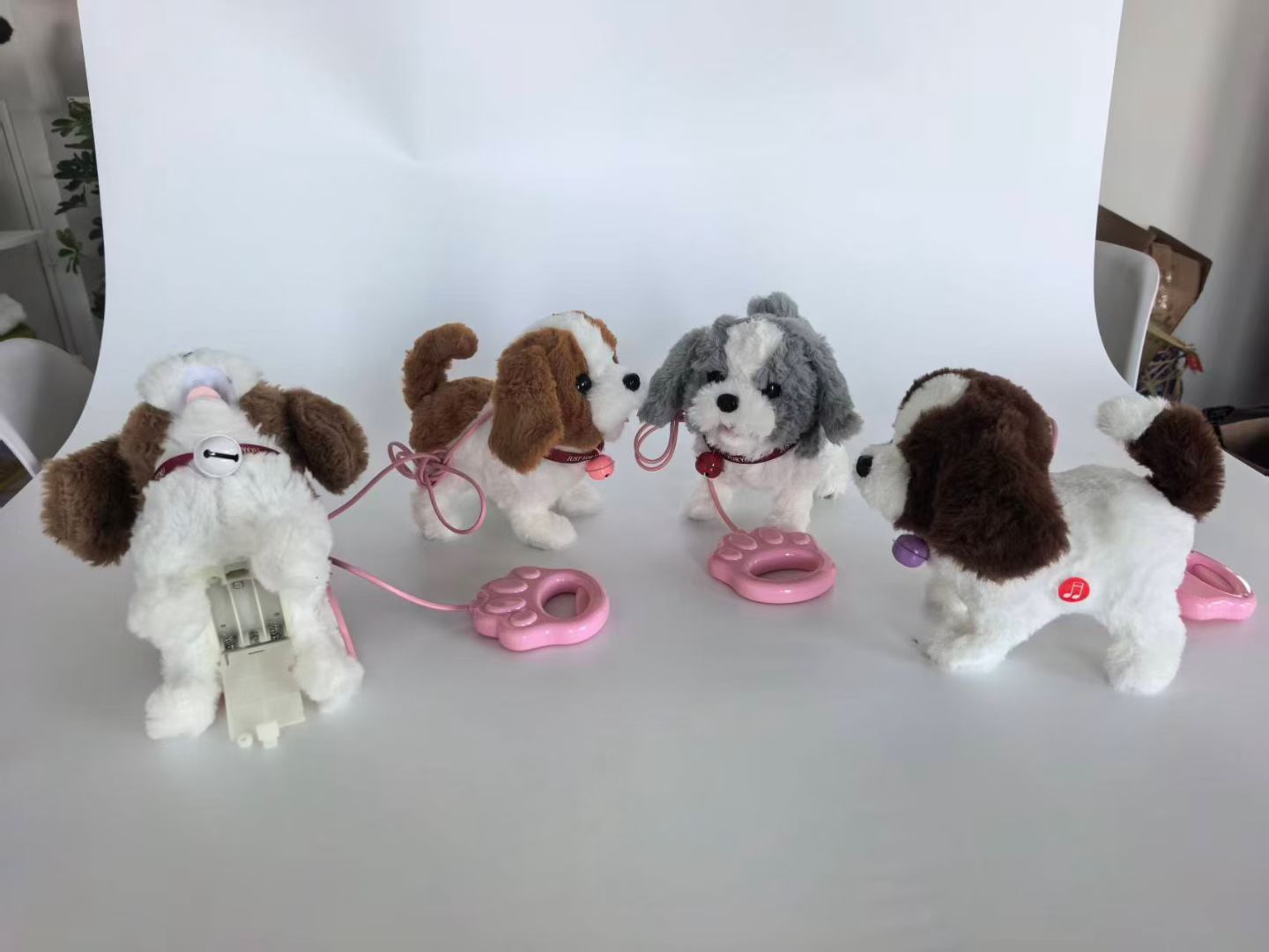 学说话，发光，牵绳子，圣伯纳小狗